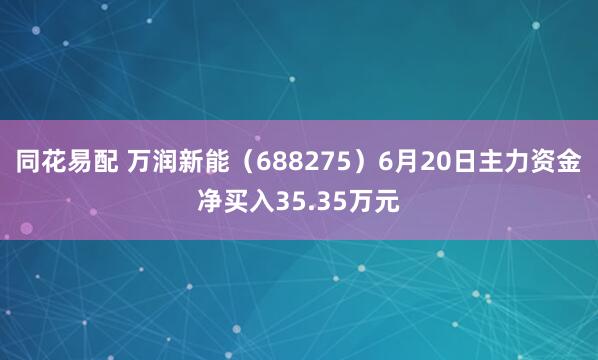 同花易配 万润新能（688275）6月20日主力资金净买入35.35万元