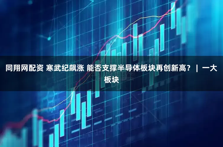 同翔网配资 寒武纪飙涨 能否支撑半导体板块再创新高？ |  一大板块
